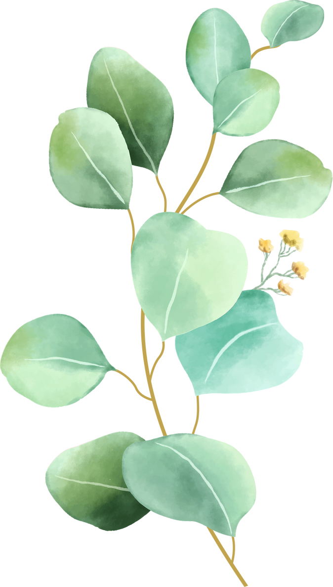 Eucalyptus Branch Watercolor
